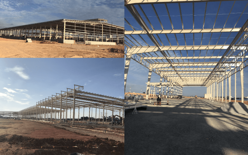 PROGRESS---Malaysia-plant_0